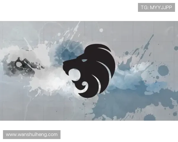 CSGO战术解析V5战队包夹体系的运用与策略探讨